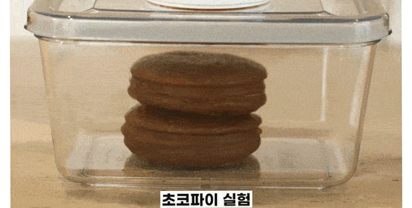 [N배송] 휴락 진공 밀폐용기 뉴트럴그레이 사각 4종 전자레인지 식세기사용 반찬통 도시락통